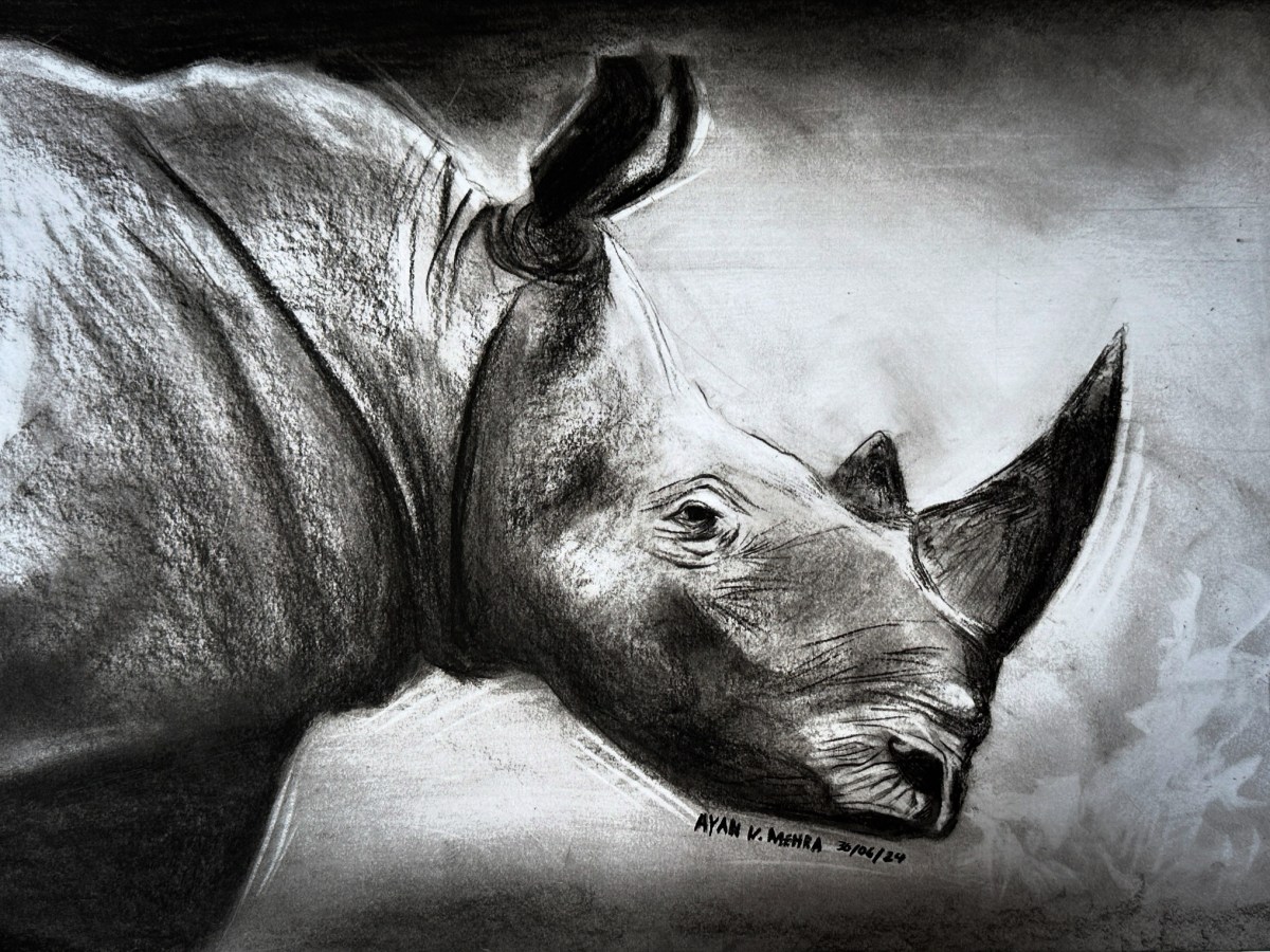 Drawing for Wildlife