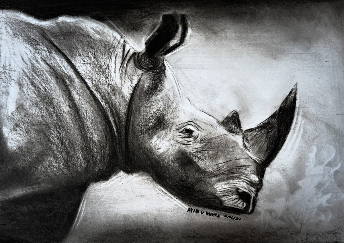 Drawing for Wildlife