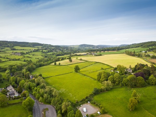 Can the New BNG Policy Improve ‘Life on Land’ in the&nbsp;UK?