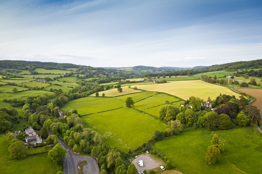 Can the New BNG Policy Improve ‘Life on Land’ in the&nbsp;UK?