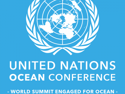 Have We Taken Too Long in Taking Action to Fulfil&nbsp;SDG14?