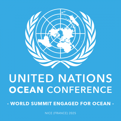 Have We Taken Too Long in Taking Action to Fulfil&nbsp;SDG14?