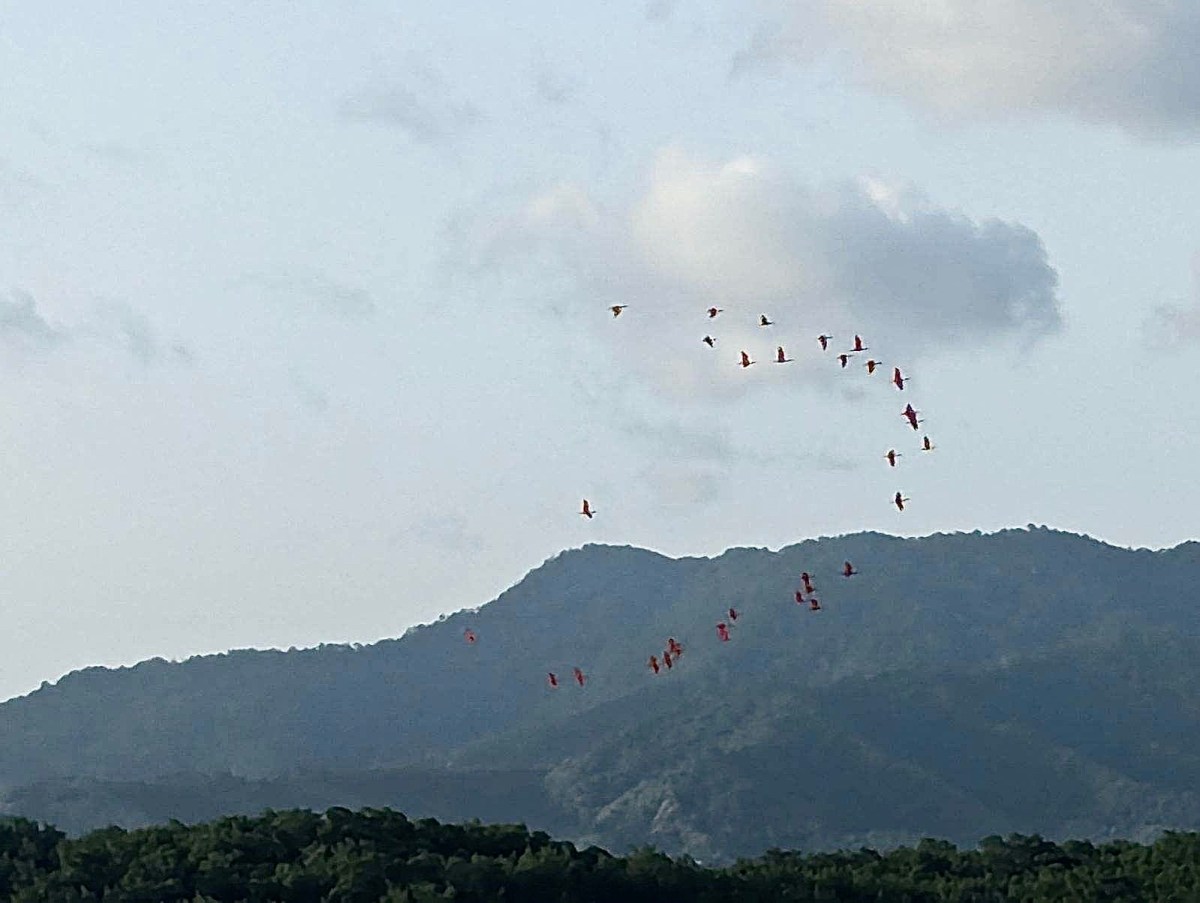 Take Care of Our&nbsp;Forests