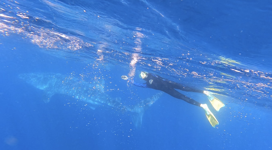 Whispers of Giants: Adventure in the Ningaloo&nbsp;Reef