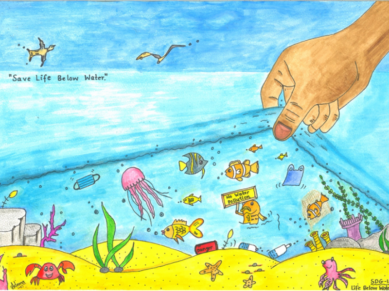 Empowering Youth to Protect and Preserve Life Below&nbsp;Water