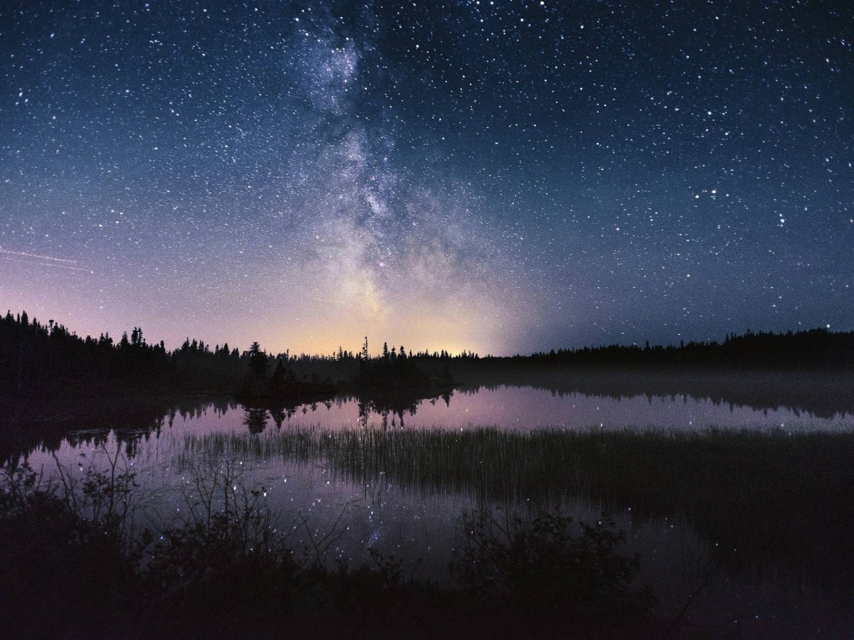 Acknowledging Land and&nbsp;Life