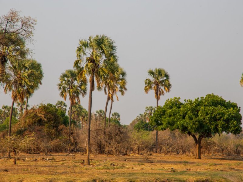 What I Like the Most About Life on&nbsp;Land