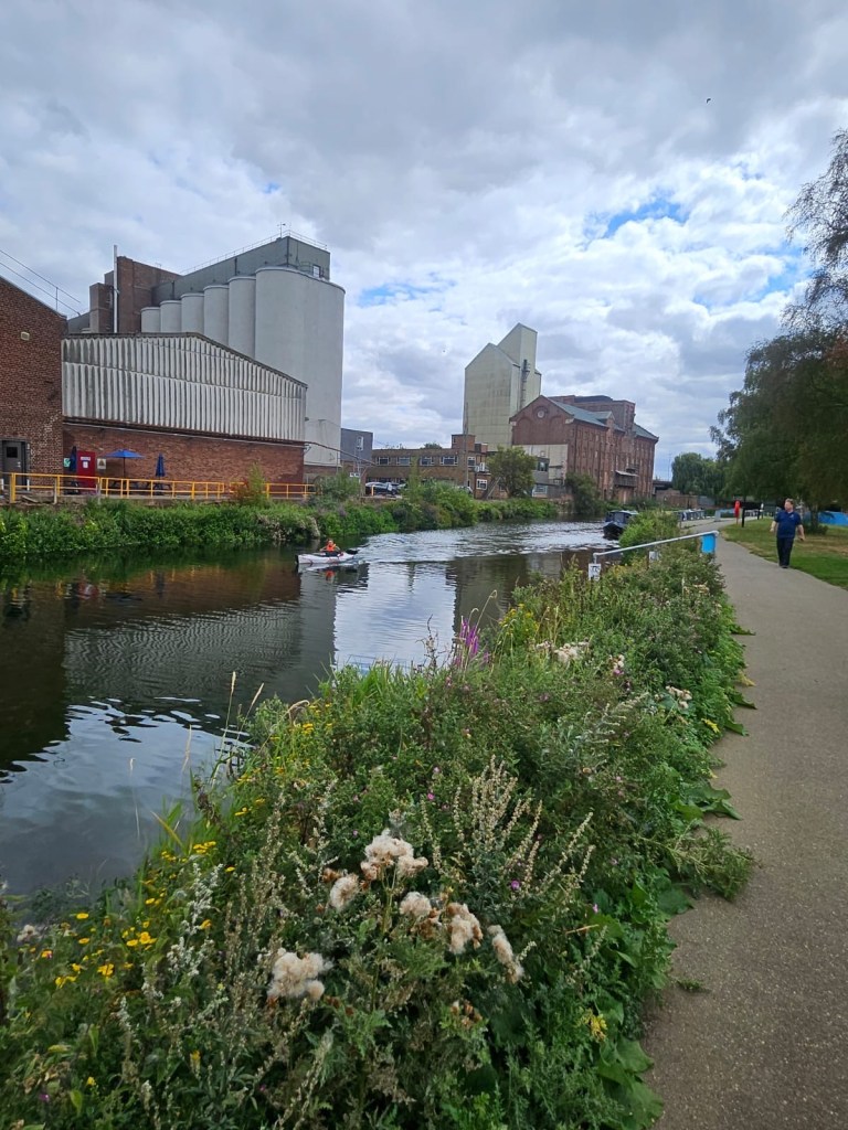 A waterway running past industrial buildings, with wildflowers and dense vegetation along the towpath