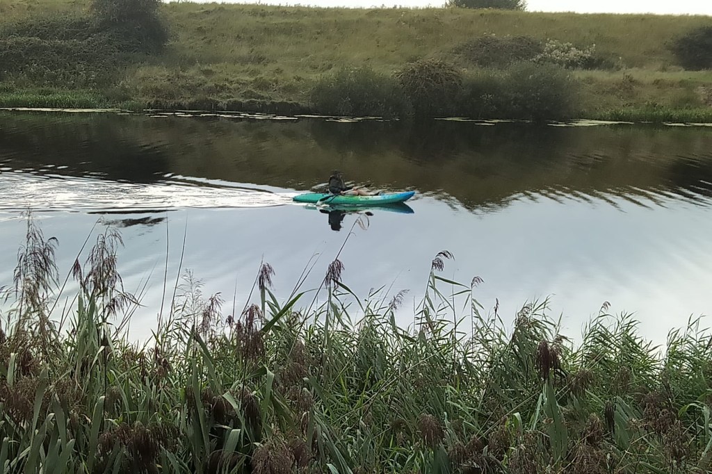A green kayak on open water seen through tall reeds