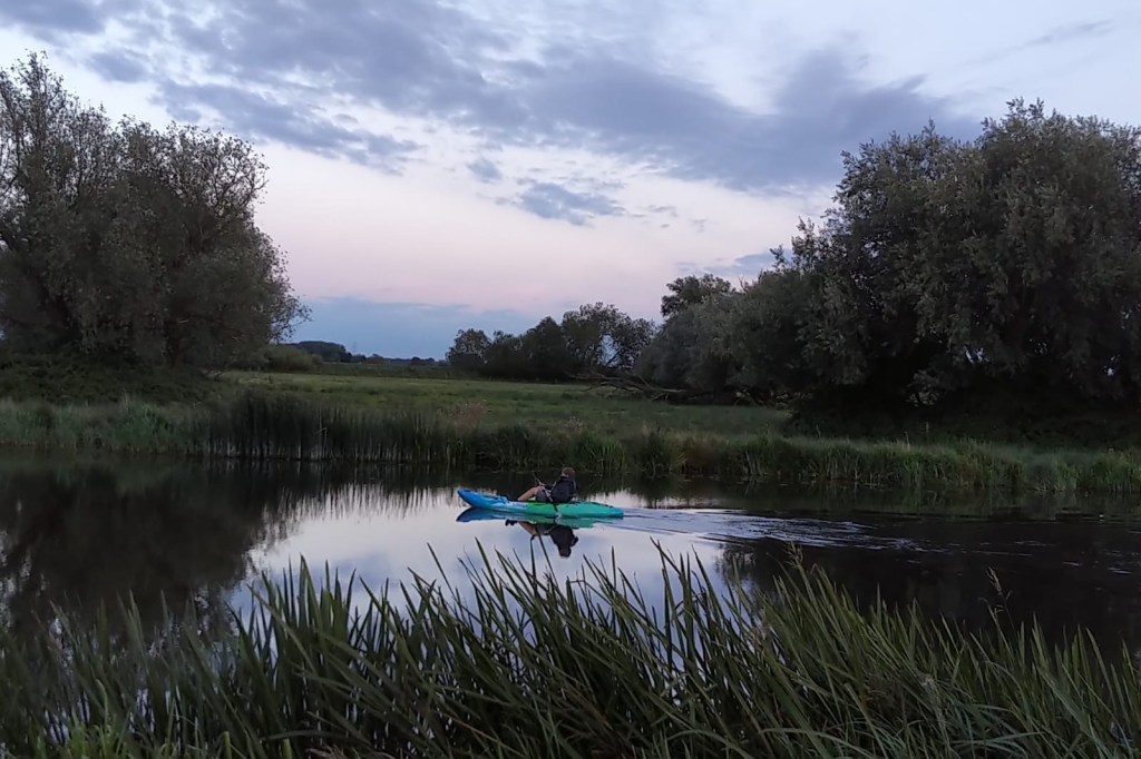 Still water and reeds at dusk, with a kayak in the distance and trees on the far bank